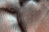Dune Monitoring in Crater