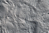 Irregular Cellular Structures around Crater in Arabia Terra