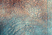 Gullies in Elath Crater