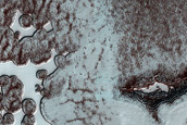 South Polar Residual Cap Site Monitoring