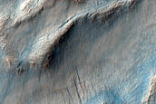 Irregular Cellular Structures around Crater in Southern Mid-Latitudes