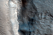 Irregular Cellular Structures around Crater in Arabia Terra