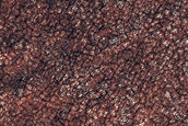 South Polar Residual Cap