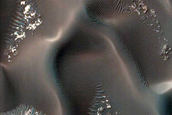 Monitor Opposing Barchan Dunes and Star Dunes