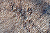 Degraded Irregular Cellular Structures