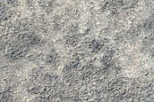 Seasonal Monitoring near Dorsa Argentea