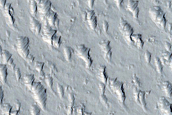Terrain North of Ascraeus Mensa