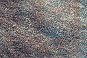 Candidate Recent Impact Site