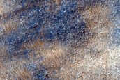 Hellas Planitia