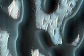 Dune Survey