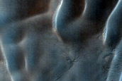 Possible Compound Dune in USGS Dune Database Entry Number 1125-770