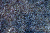 Gully Monitoring and Ice-Table Campaign