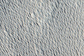 Candidate Recent Impact Site