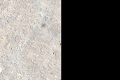 Candidate Recent Impact Site