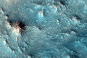 Nilosyrtis Region