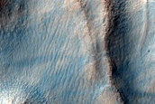 Irregular Cellular Structures around Crater in Southern Mid-Latitudes