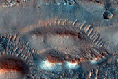 Lobo Vallis Dune Monitoring
