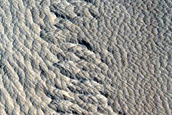 Daedalia Planum