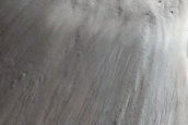 Crater-Related Pitted Materials in 3-Kilometer Crater in Elysium Planitia