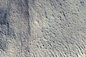Candidate Recent Impact Site