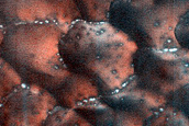 Dune Monitoring in Crater