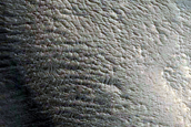 Slope Streak Monitoring in Lycus Sulci