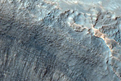 Irregular Cellular Structures around Crater in Southern Mid-Latitudes