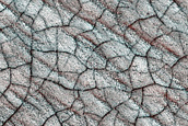 South Polar Perennial Ice Outlier Monitoring