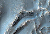 Irregular Cellular Structures around Crater in Southern Mid-Latitudes