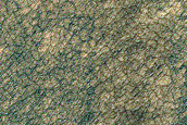 South Polar Layered Deposits