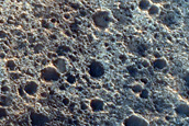 Dune Survey