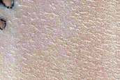 Dune Monitoring in Crater