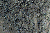 Large Gully Alcove in Ross Crater
