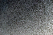 Gullies in Lyell Crater