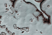 South Polar Residual Cap Monitoring