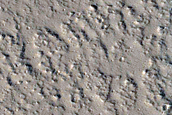 Monitoring New Impact Site 