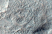 Gully Monitoring