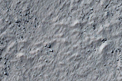 Scarp Monitoring