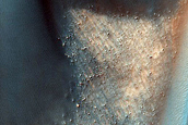Defrosting Dune Transition and Elongated Barchans
