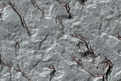 South Polar Residual Cap Mosaic Campaign