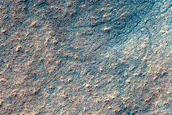 Gully Monitoring