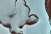 South Polar Residual Cap Mosaic Campaign
