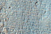 Gullies in Crater in Terra Cimmeria