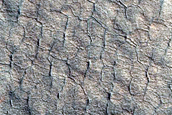 Scalloped Depressions in Utopia Planitia