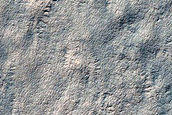Search for Mars Polar Lander