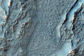 Irregular Cellular Structures around Crater in Southern Mid-Latitudes