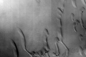 Dune Monitoring in Kunowsky Crater