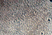 Syria Planum Dust-Raising Event Monitoring Site