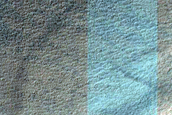 Gully Monitoring
