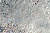 Gully Monitoring